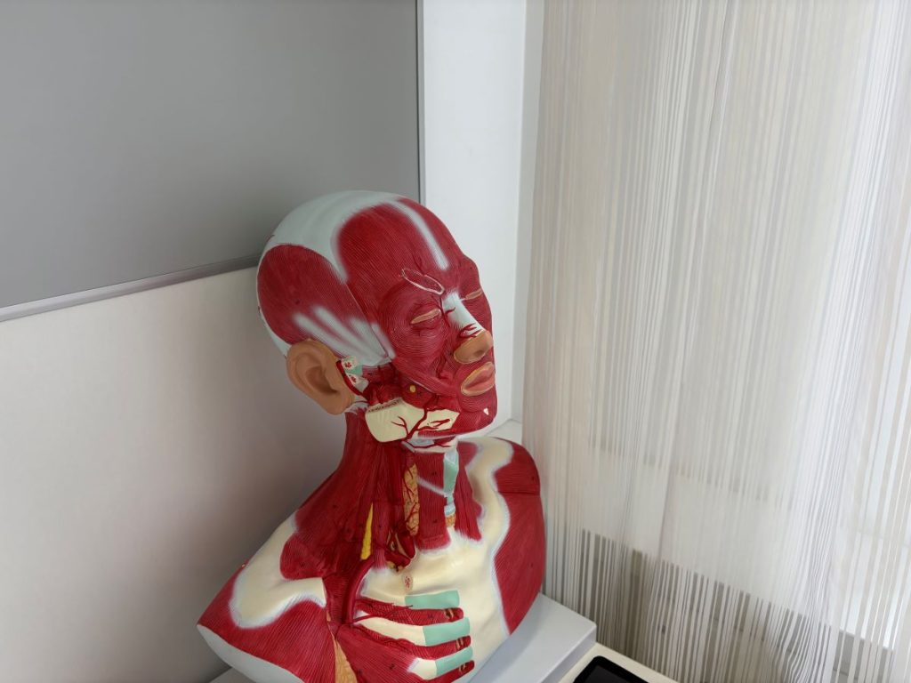 Что такое кадавер-курс?